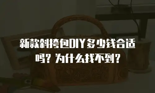 新款斜挎包DIY多少钱合适吗？为什么找不到？