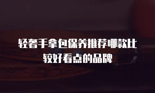 轻奢手拿包保养推荐哪款比较好看点的品牌