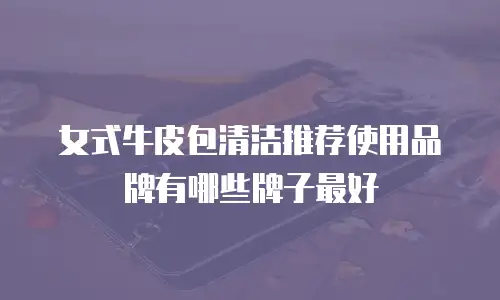 女式牛皮包清洁推荐使用品牌有哪些牌子最好