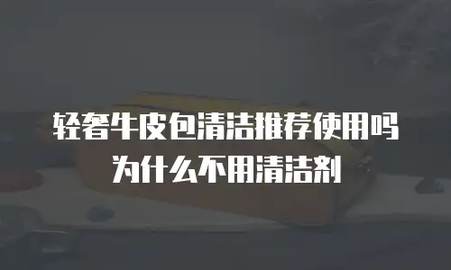 轻奢牛皮包清洁推荐使用吗为什么不用清洁剂