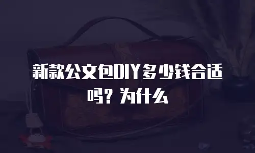 新款公文包DIY多少钱合适吗？为什么