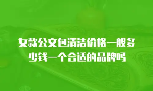 女款公文包清洁价格一般多少钱一个合适的品牌吗