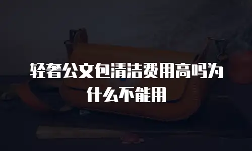 轻奢公文包清洁费用高吗为什么不能用