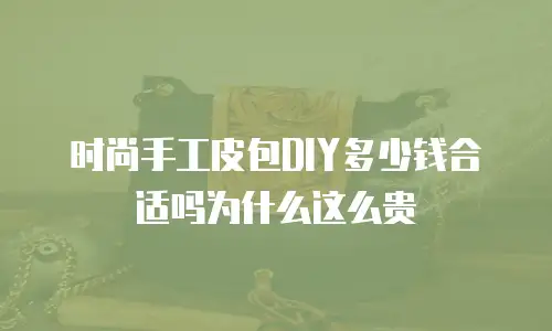 时尚手工皮包DIY多少钱合适吗为什么这么贵