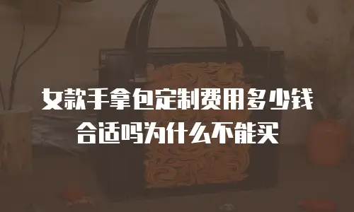 女款手拿包定制费用多少钱合适吗为什么不能买