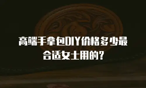 高端手拿包DIY价格多少最合适女士用的？