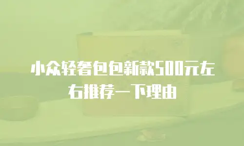 小众轻奢包包新款500元左右推荐一下理由