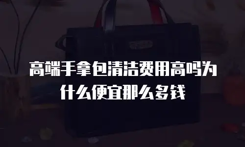 高端手拿包清洁费用高吗为什么便宜那么多钱