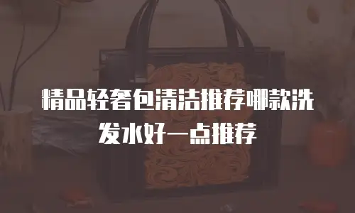 精品轻奢包清洁推荐哪款洗发水好一点推荐