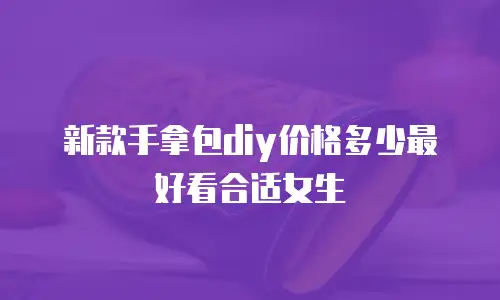 新款手拿包diy价格多少最好看合适女生
