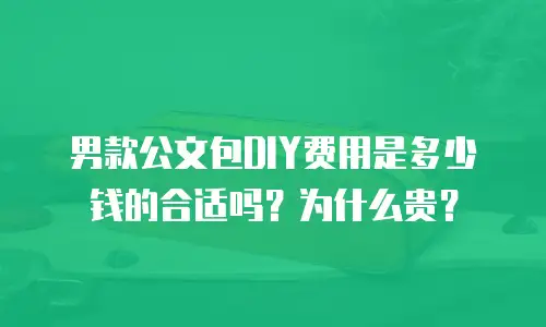 男款公文包DIY费用是多少钱的合适吗？为什么贵？