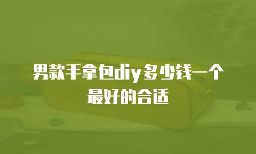 男款手拿包diy多少钱一个最好的合适