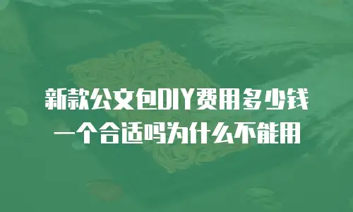 新款公文包DIY费用多少钱一个合适吗为什么不能用
