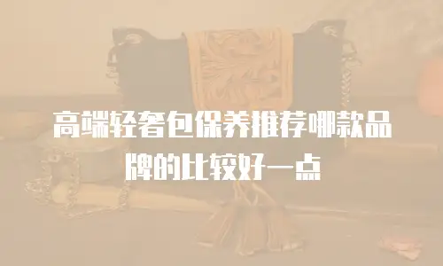 高端轻奢包保养推荐哪款品牌的比较好一点