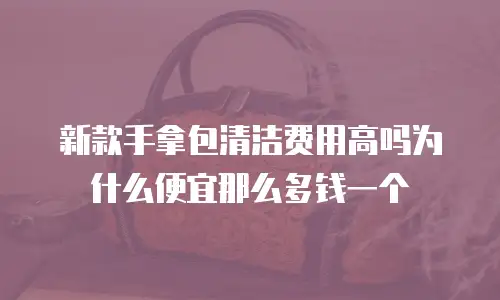 新款手拿包清洁费用高吗为什么便宜那么多钱一个