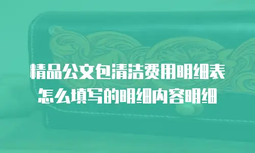 精品公文包清洁费用明细表怎么填写的明细内容明细