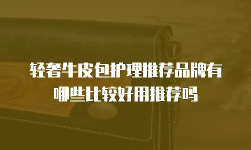 轻奢牛皮包护理推荐品牌有哪些比较好用推荐吗