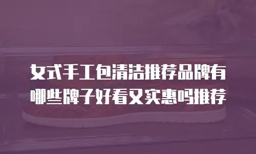 女式手工包清洁推荐品牌有哪些牌子好看又实惠吗推荐