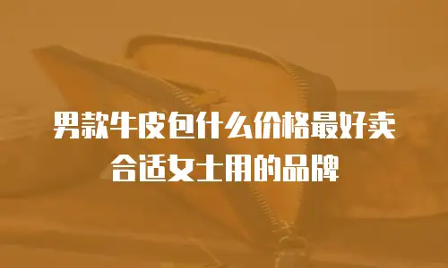 男款牛皮包什么价格最好卖合适女士用的品牌