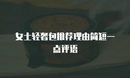 女士轻奢包推荐理由简短一点评语