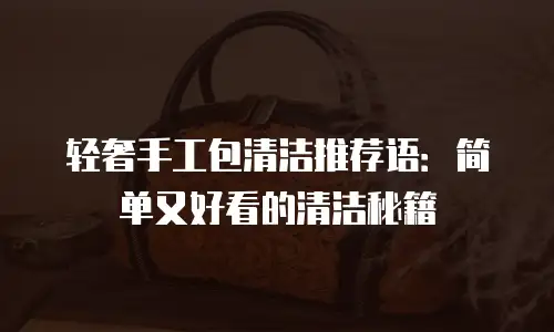 轻奢手工包清洁推荐语：简单又好看的清洁秘籍