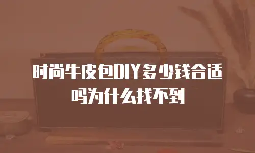 时尚牛皮包DIY多少钱合适吗为什么找不到