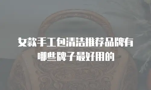 女款手工包清洁推荐品牌有哪些牌子最好用的