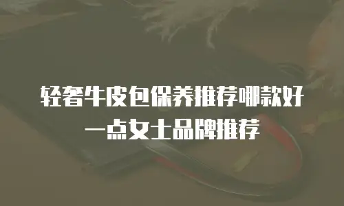轻奢牛皮包保养推荐哪款好一点女士品牌推荐