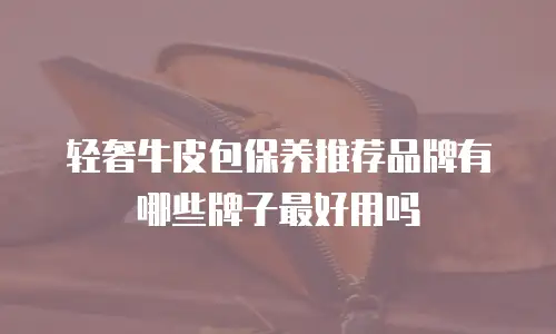 轻奢牛皮包保养推荐品牌有哪些牌子最好用吗