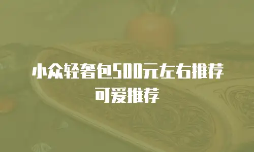 小众轻奢包500元左右推荐可爱推荐