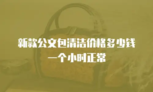新款公文包清洁价格多少钱一个小时正常