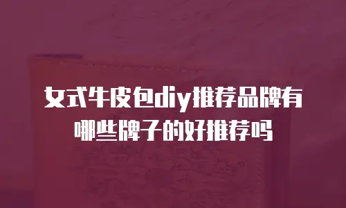 女式牛皮包diy推荐品牌有哪些牌子的好推荐吗