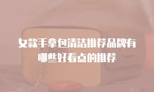 女款手拿包清洁推荐品牌有哪些好看点的推荐