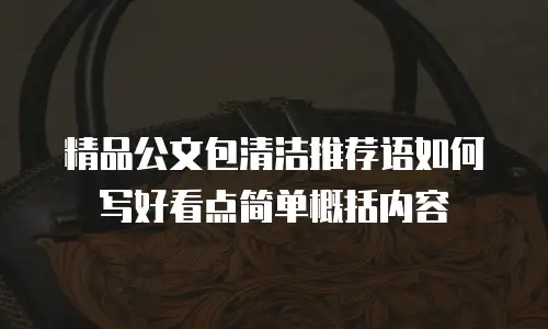 精品公文包清洁推荐语如何写好看点简单概括内容