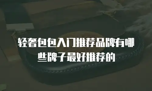轻奢包包入门推荐品牌有哪些牌子最好推荐的