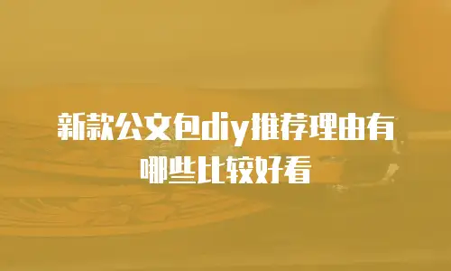 新款公文包diy推荐理由有哪些比较好看