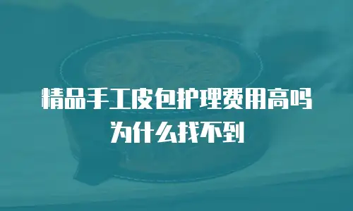 精品手工皮包护理费用高吗为什么找不到