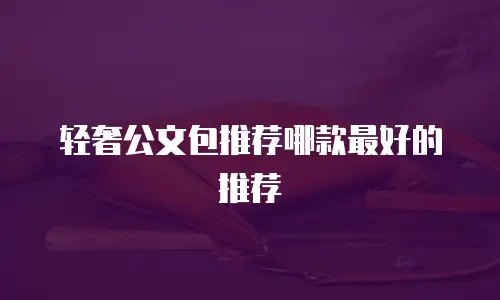 轻奢公文包推荐哪款最好的推荐