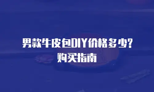 男款牛皮包DIY价格多少? 购买指南