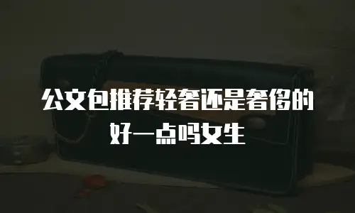 公文包推荐轻奢还是奢侈的好一点吗女生