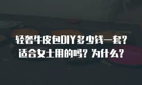 轻奢牛皮包DIY多少钱一套？适合女士用的吗？为什么？