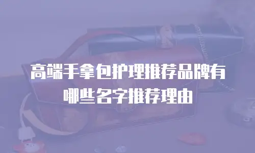 高端手拿包护理推荐品牌有哪些名字推荐理由
