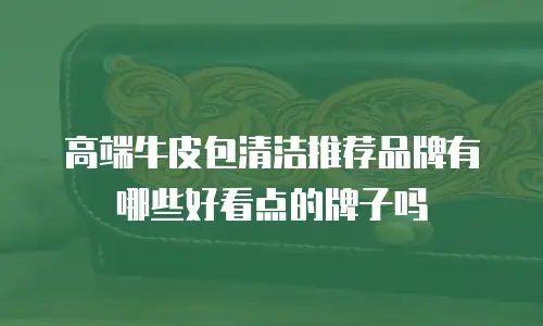 高端牛皮包清洁推荐品牌有哪些好看点的牌子吗