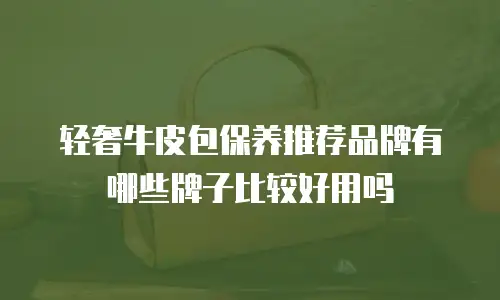 轻奢牛皮包保养推荐品牌有哪些牌子比较好用吗
