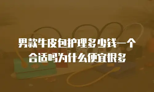 男款牛皮包护理多少钱一个合适吗为什么便宜很多