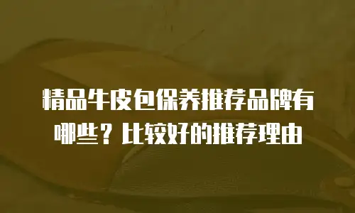 精品牛皮包保养推荐品牌有哪些？比较好的推荐理由