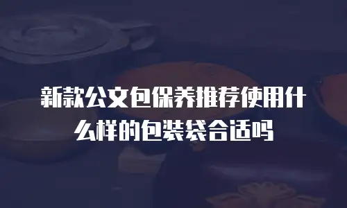 新款公文包保养推荐使用什么样的包装袋合适吗