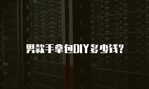 男款手拿包DIY多少钱？