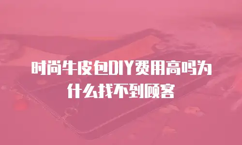时尚牛皮包DIY费用高吗为什么找不到顾客