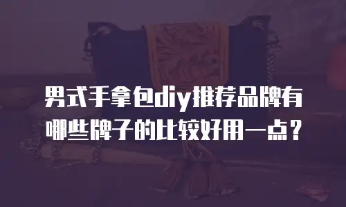 男式手拿包diy推荐品牌有哪些牌子的比较好用一点？